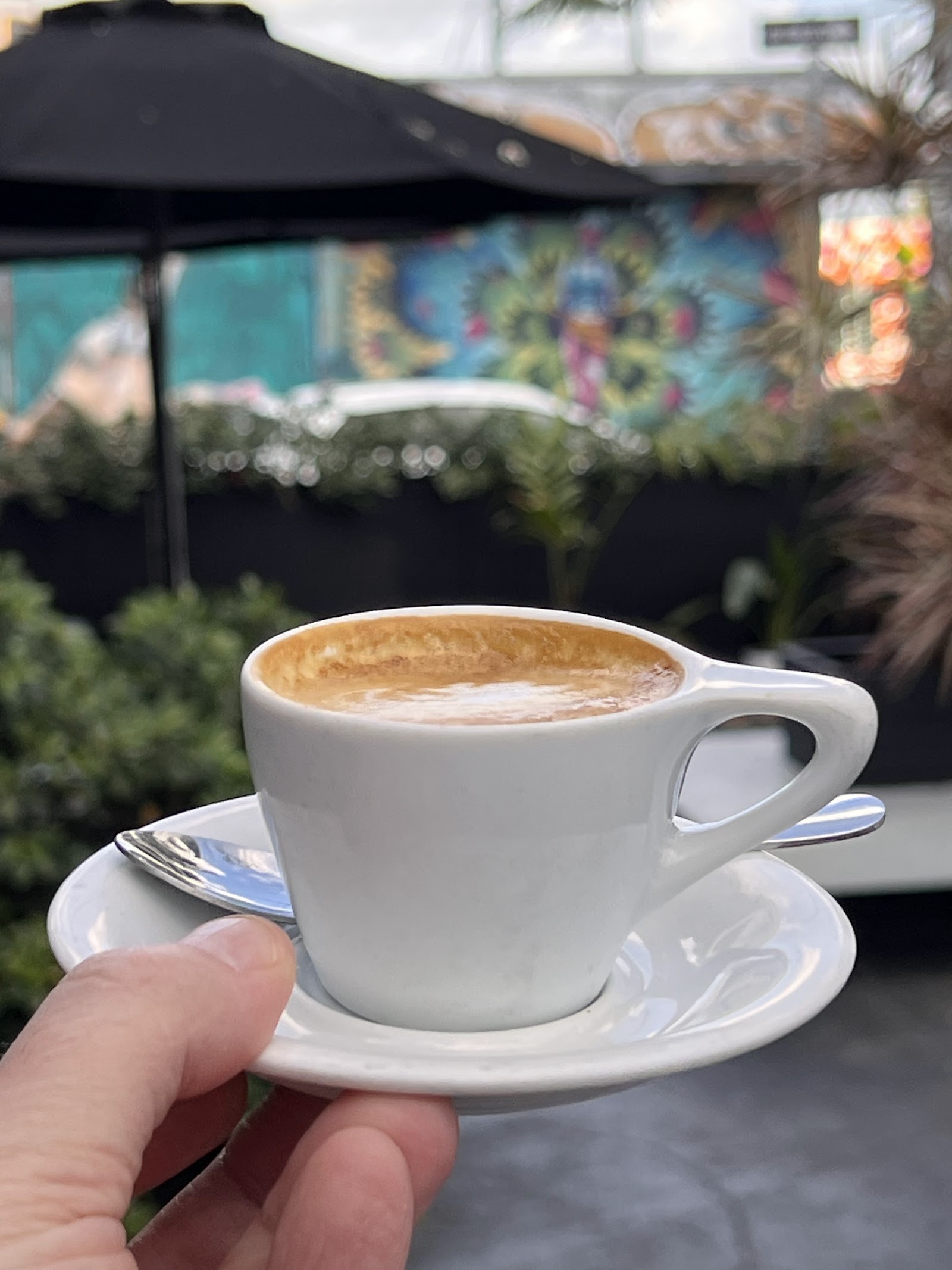 Panther Coffee - Wynwood