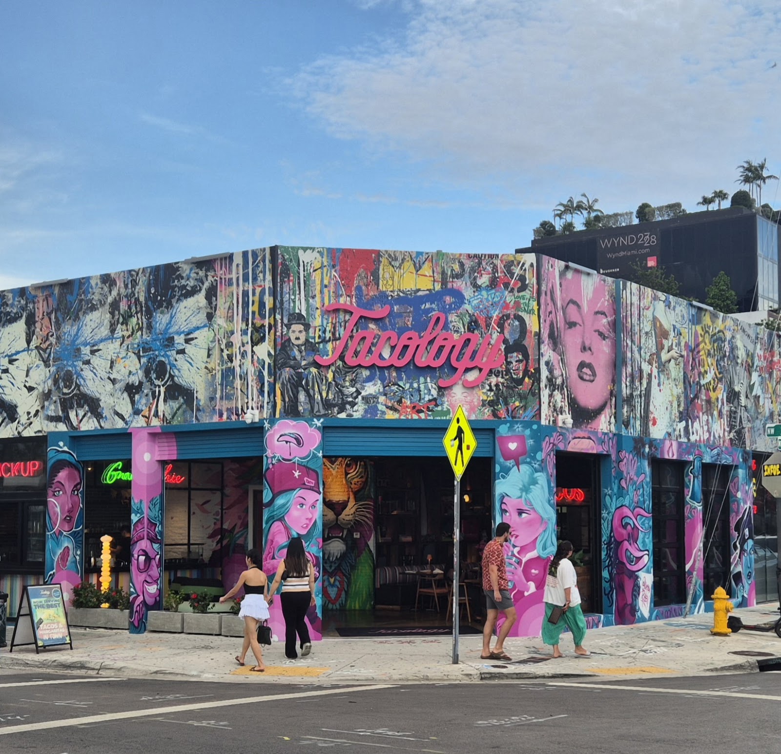 Sr de Los Tacos Wynwood