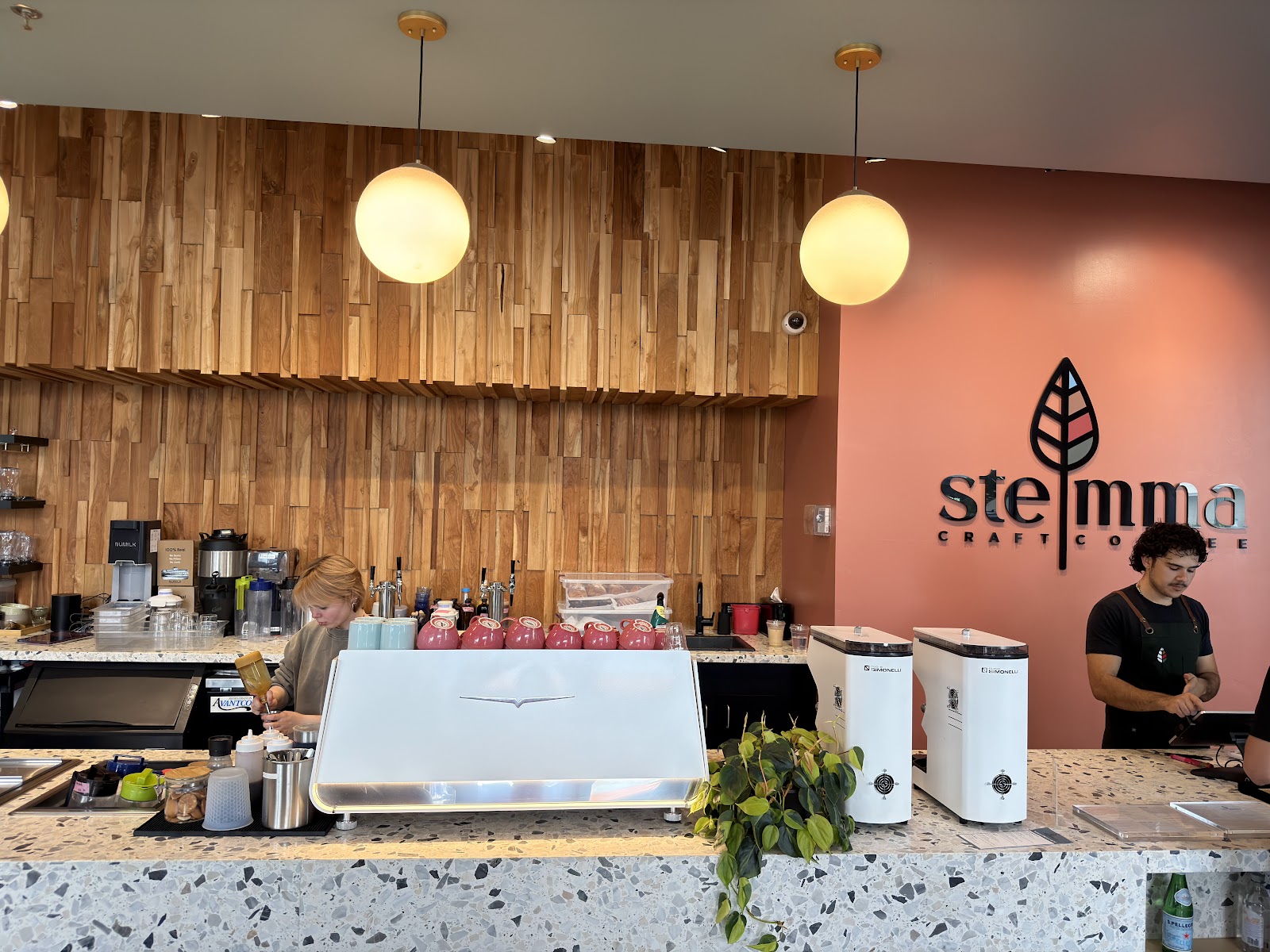 Stemma Craft Coffee