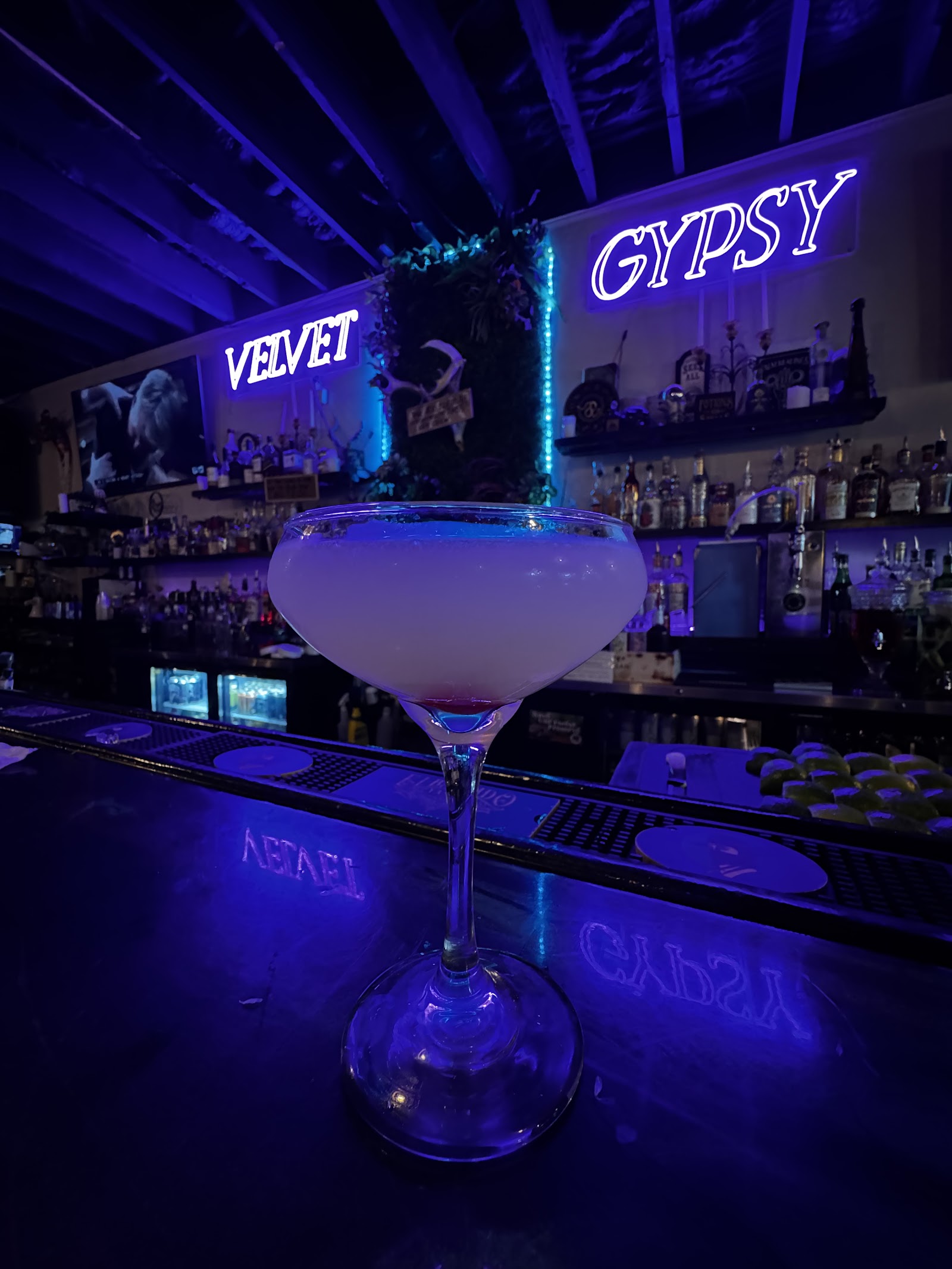 Velvet Gypsy